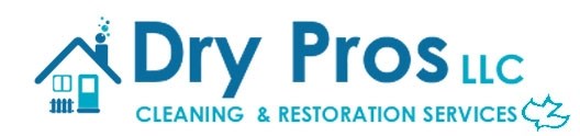 Logo for DRY PROS LLC