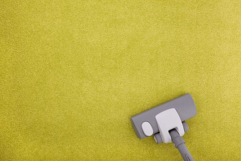 Carpet Cleaning Rye logo
