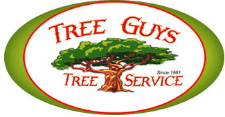 Tree Guys Tree Service logo