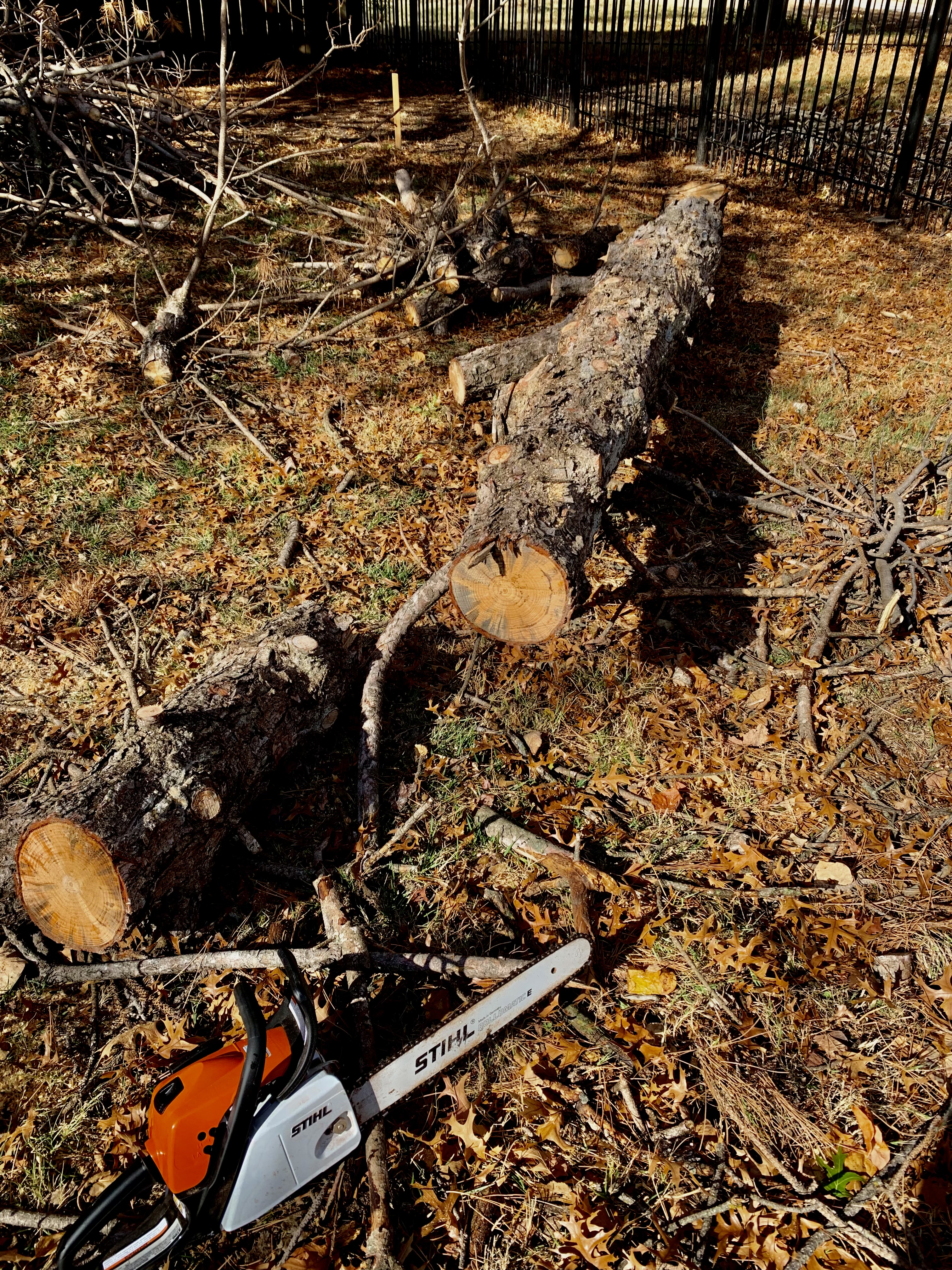 Avatar for JB Tree Trimmers