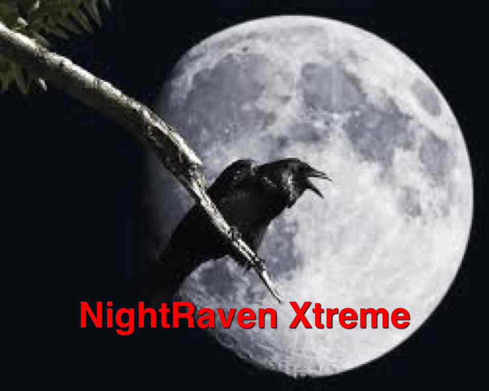 NightRaven Xtreme Computer Repair & Recycling logo