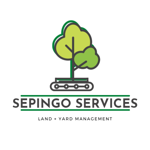 Avatar for Sepingo Services