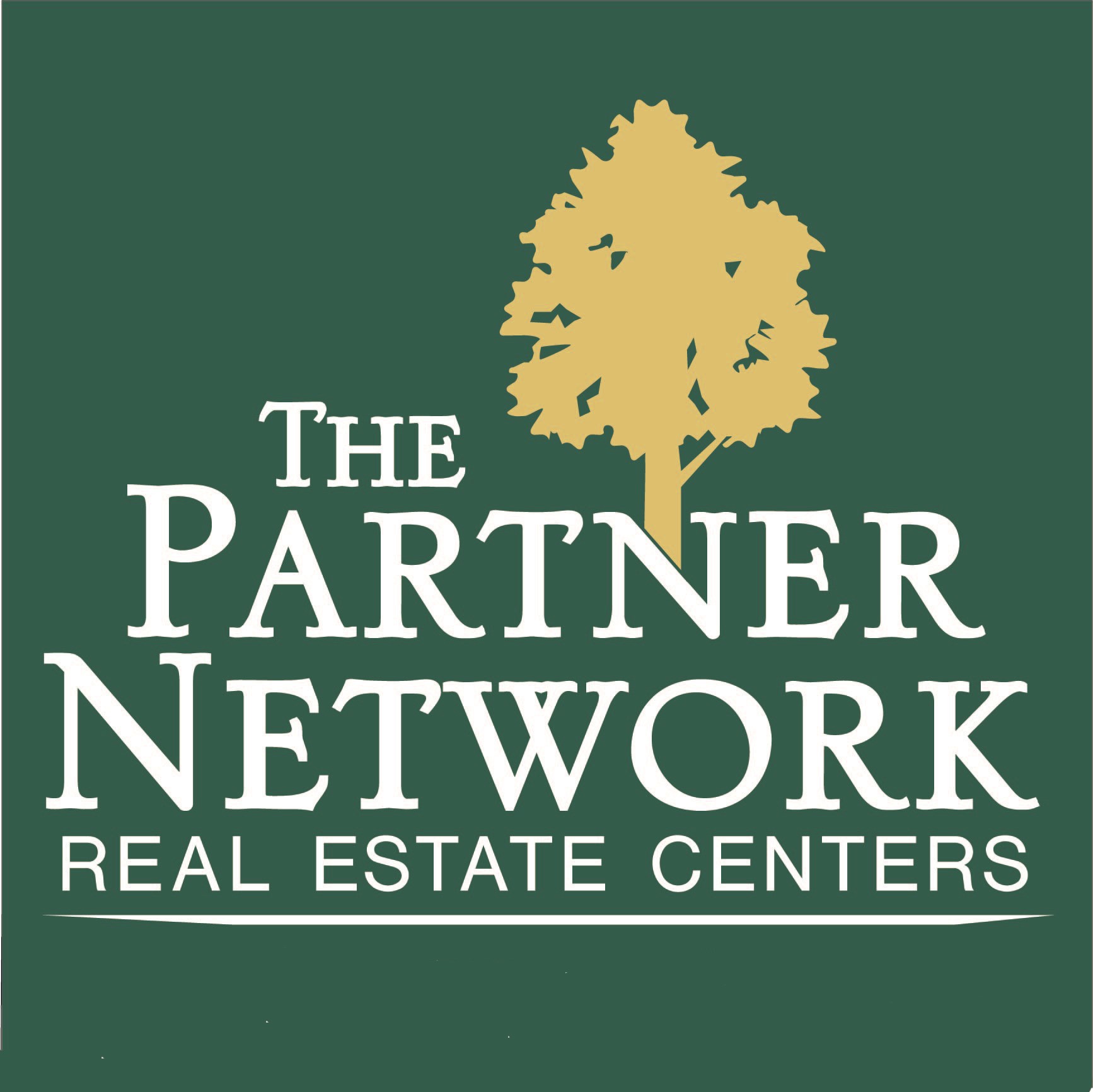 The Partner Network logo
