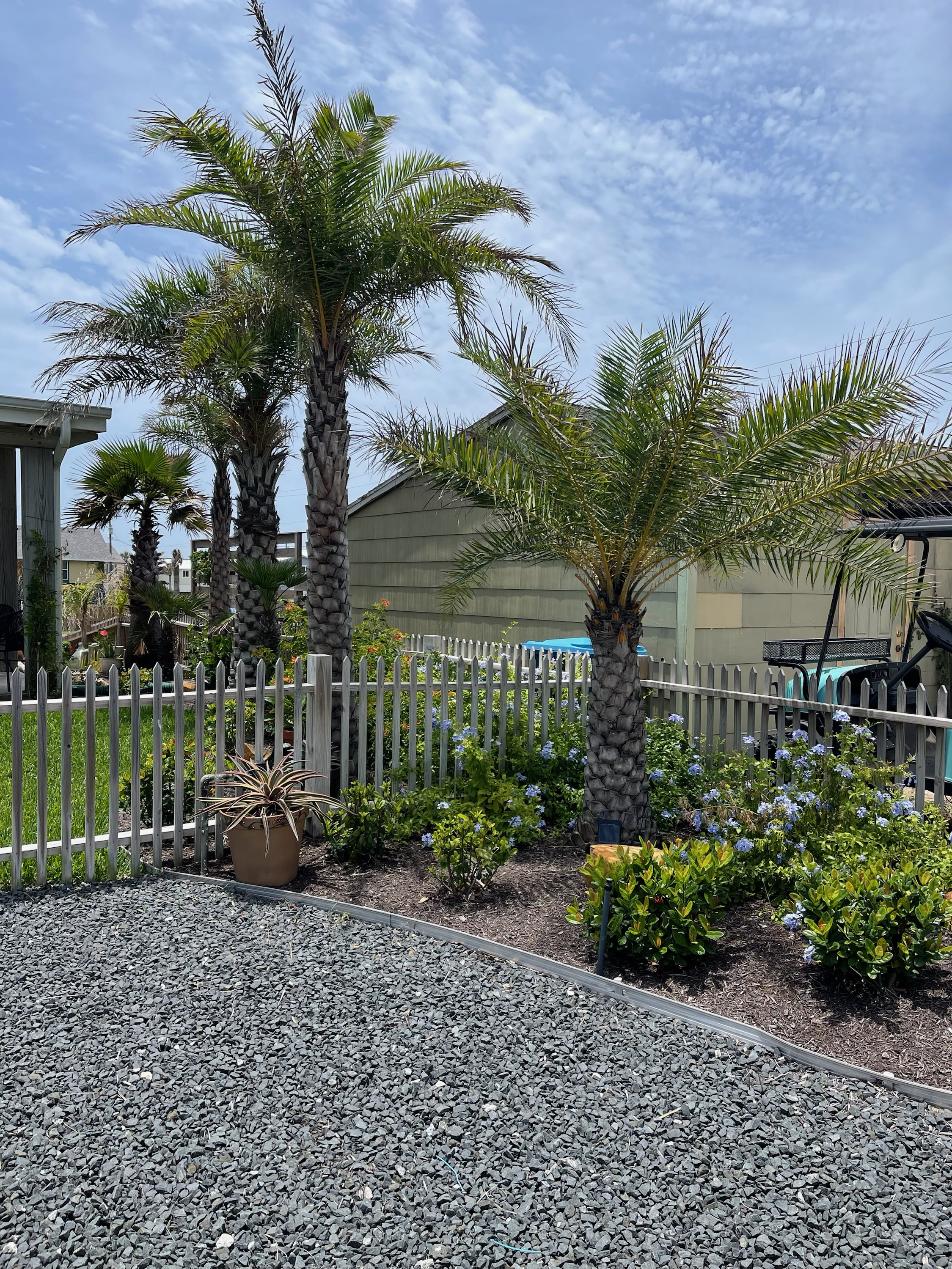 Williams St Nursery & Landscaping Reviews Corpus Christi, TX Angi