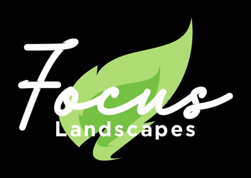 Avatar for Focus Landscapes, Junk Removal & Hauling