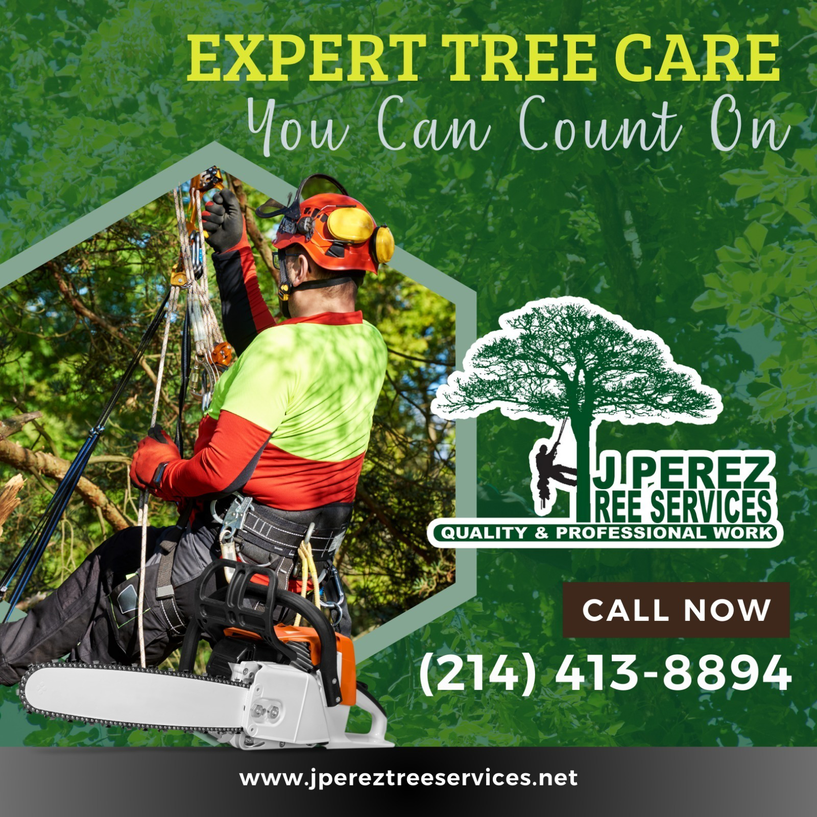 JP TREE SERVICES Reviews Dallas, TX Angi