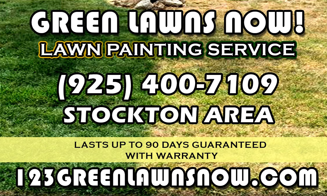 Avatar for 123 Green Lawn Now