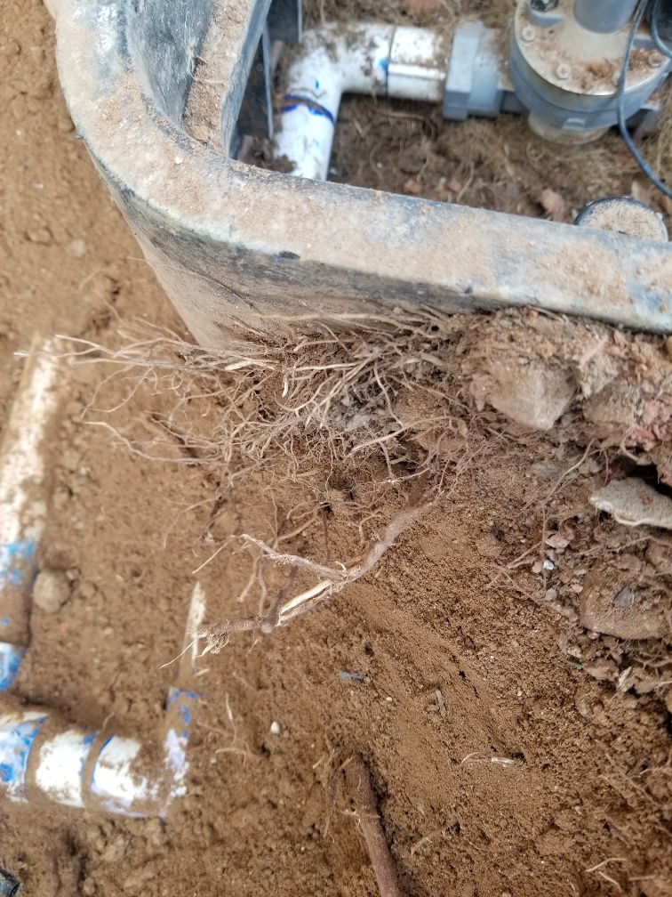 SOS Sprinkler Repair Reviews Queen Creek, AZ Angi
