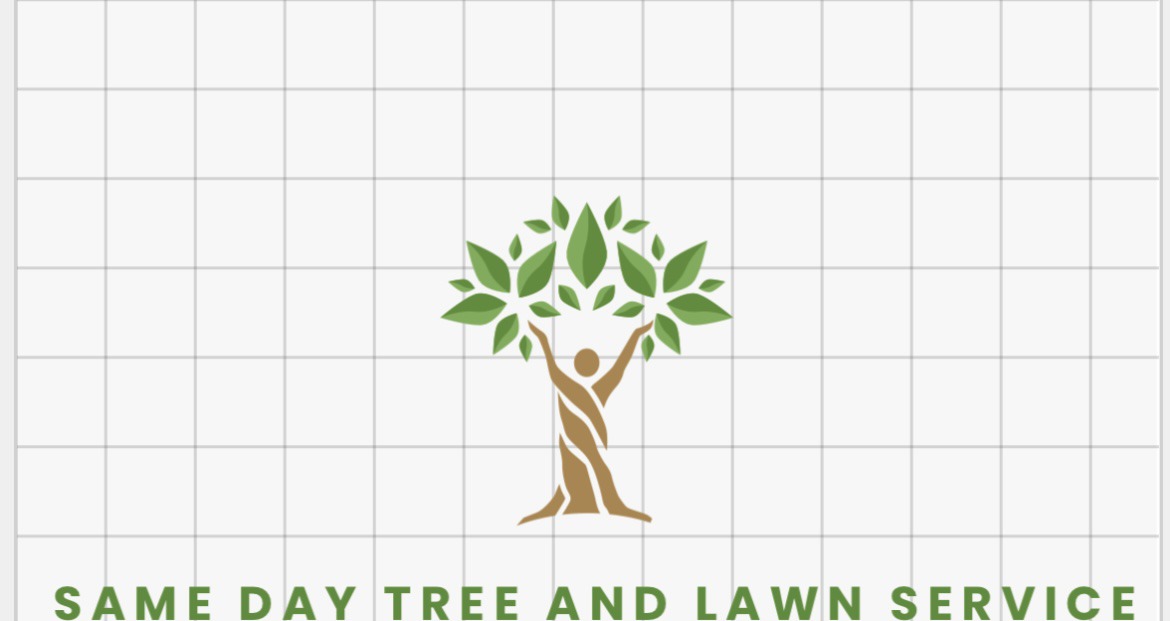 Same Day Tree And Lawn Service logo