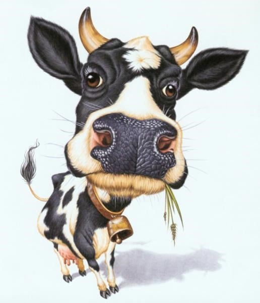 Avatar for FatCow Express