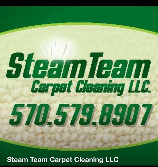 Steam Team Carpet Cleaning logo