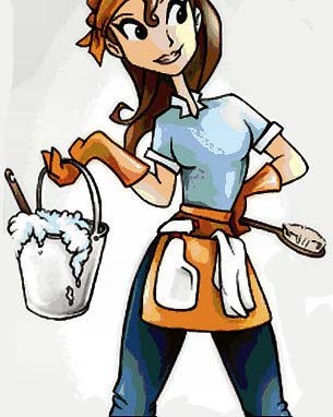 S&Z Cleaning Services logo