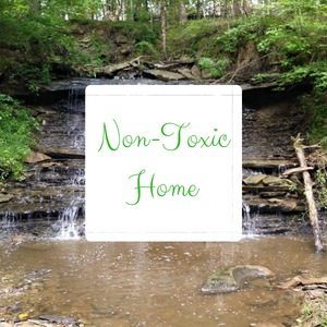 Avatar for Non Toxic Home, LLC