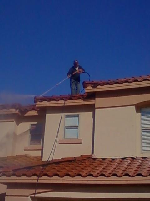 Pigeon Removal