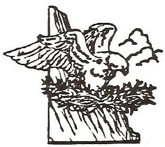 Avatar for EAGLES NEST FLOOR & CLEANING