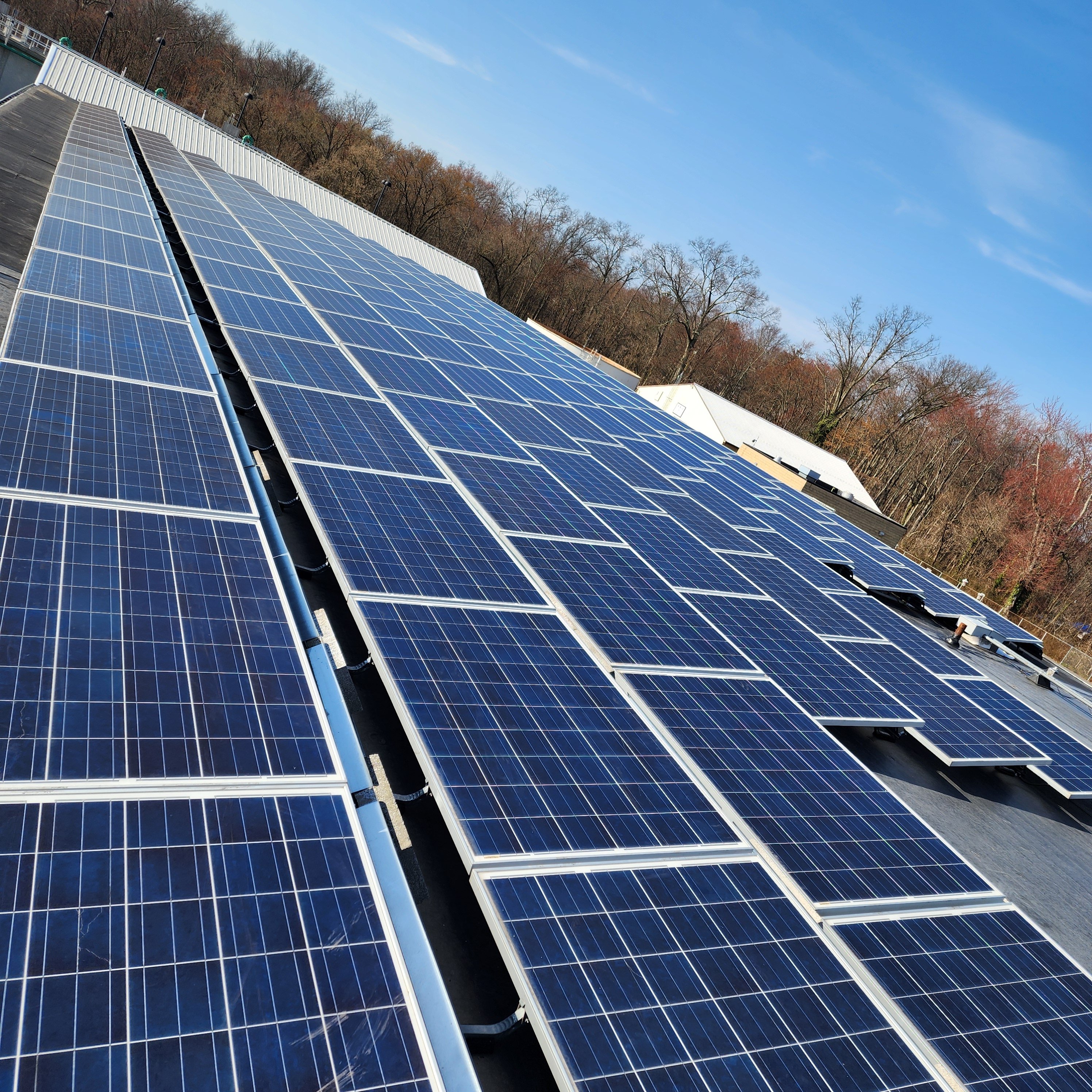 Avatar for AAA Solar Services