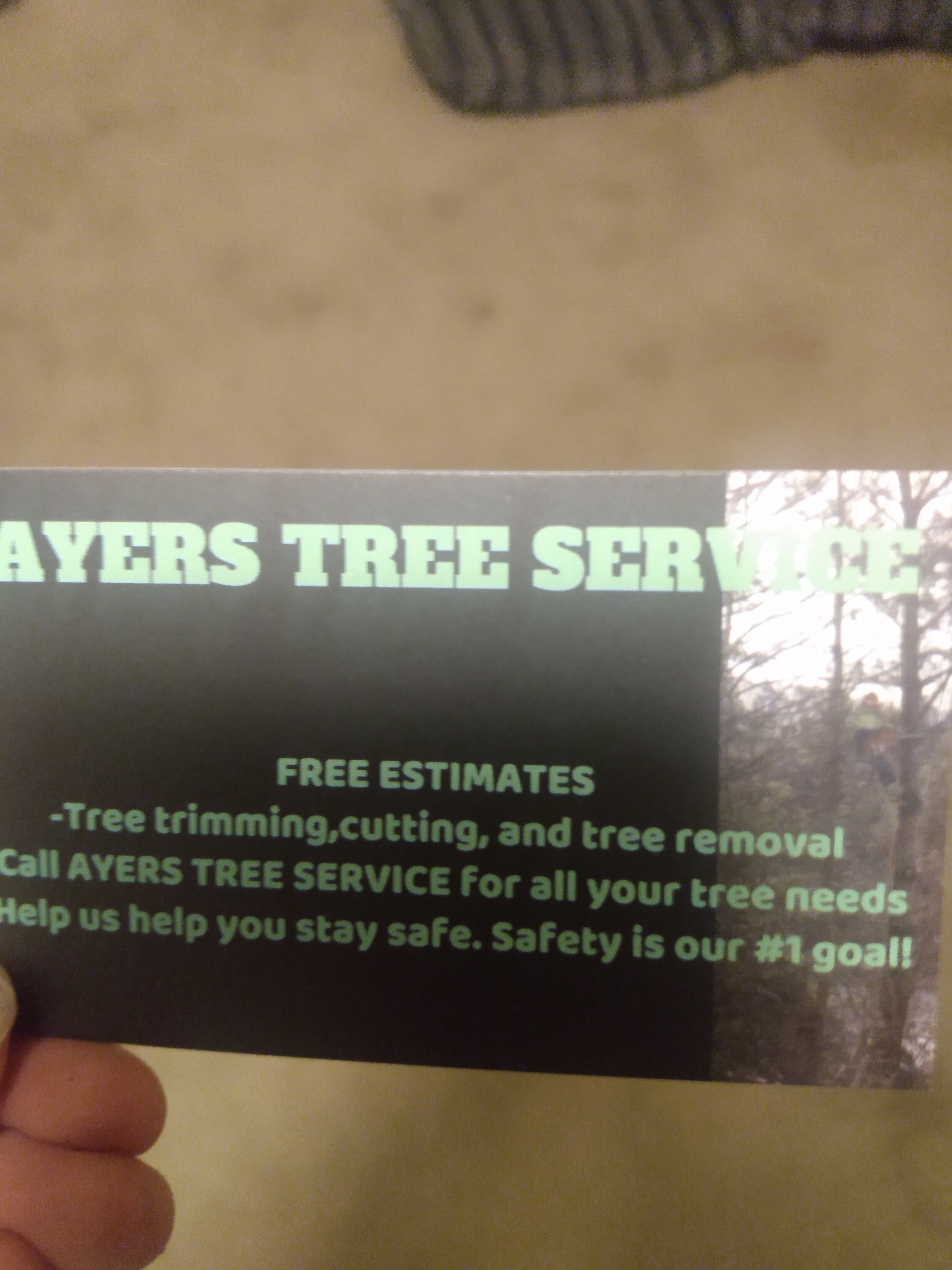 Avatar for AYERS TREE SERVICE