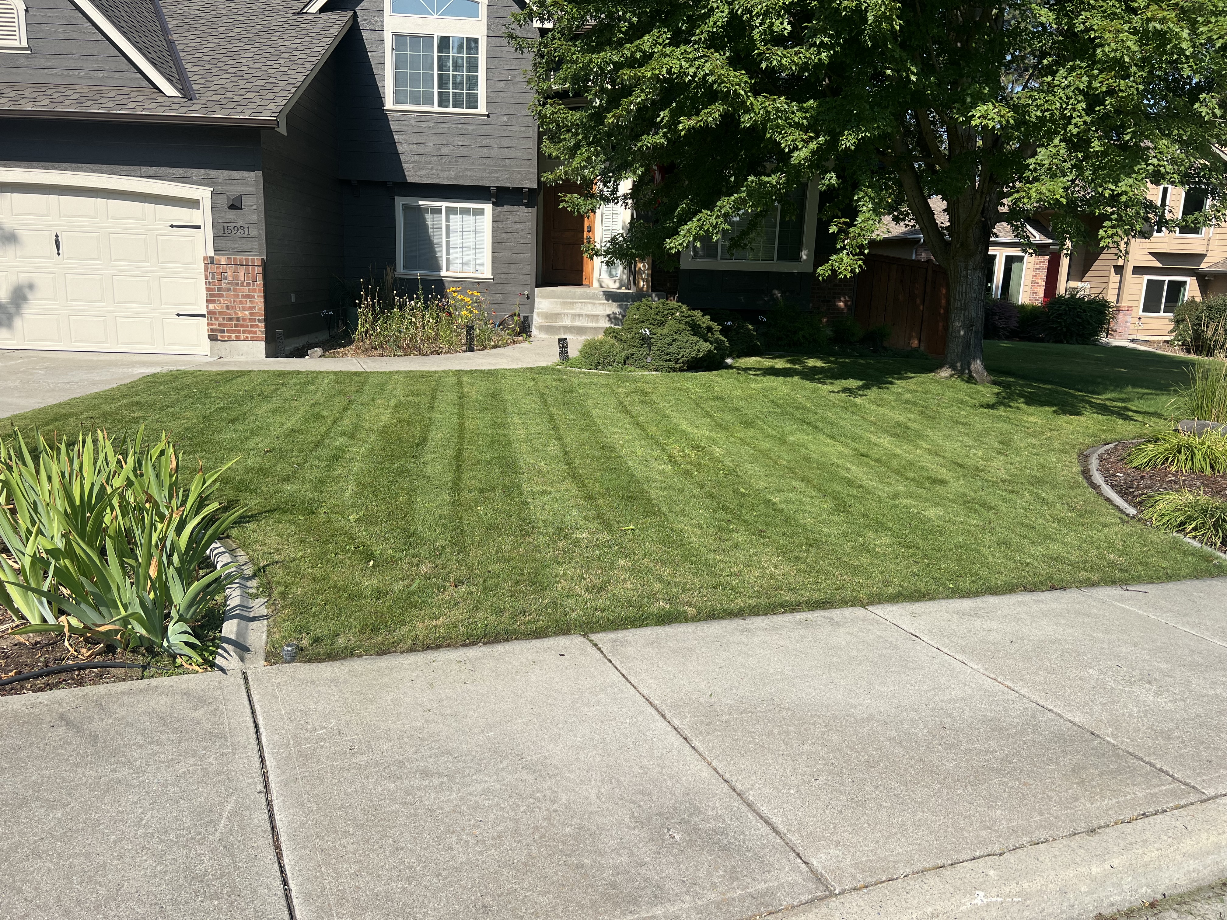 Avatar for Deshon landscape