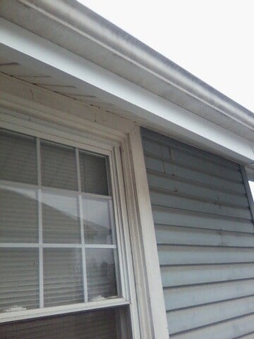 Logo for A-1 Quality Seamless Gutters