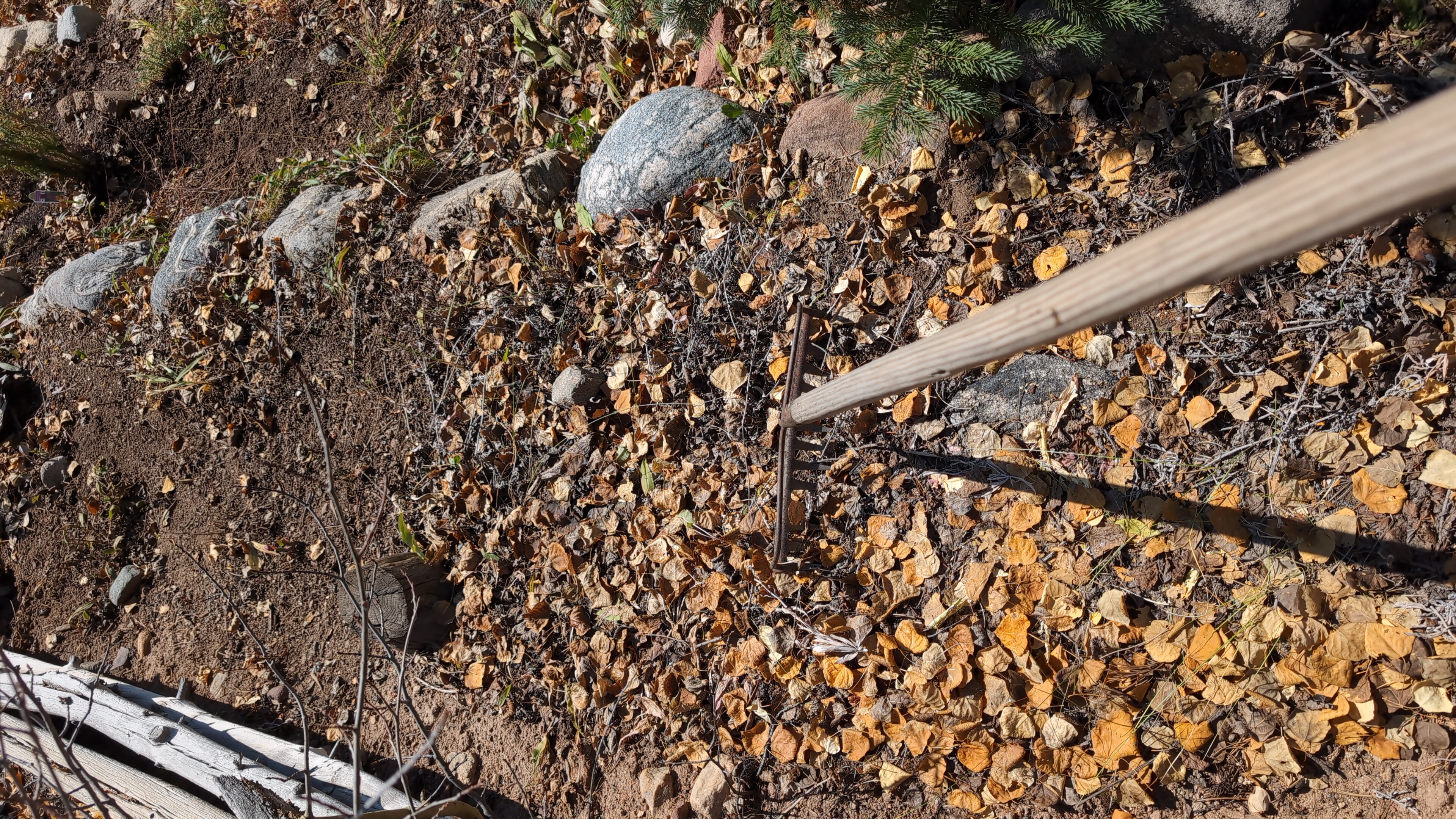 Avatar for Landscaping and Gardening Breckenridge 