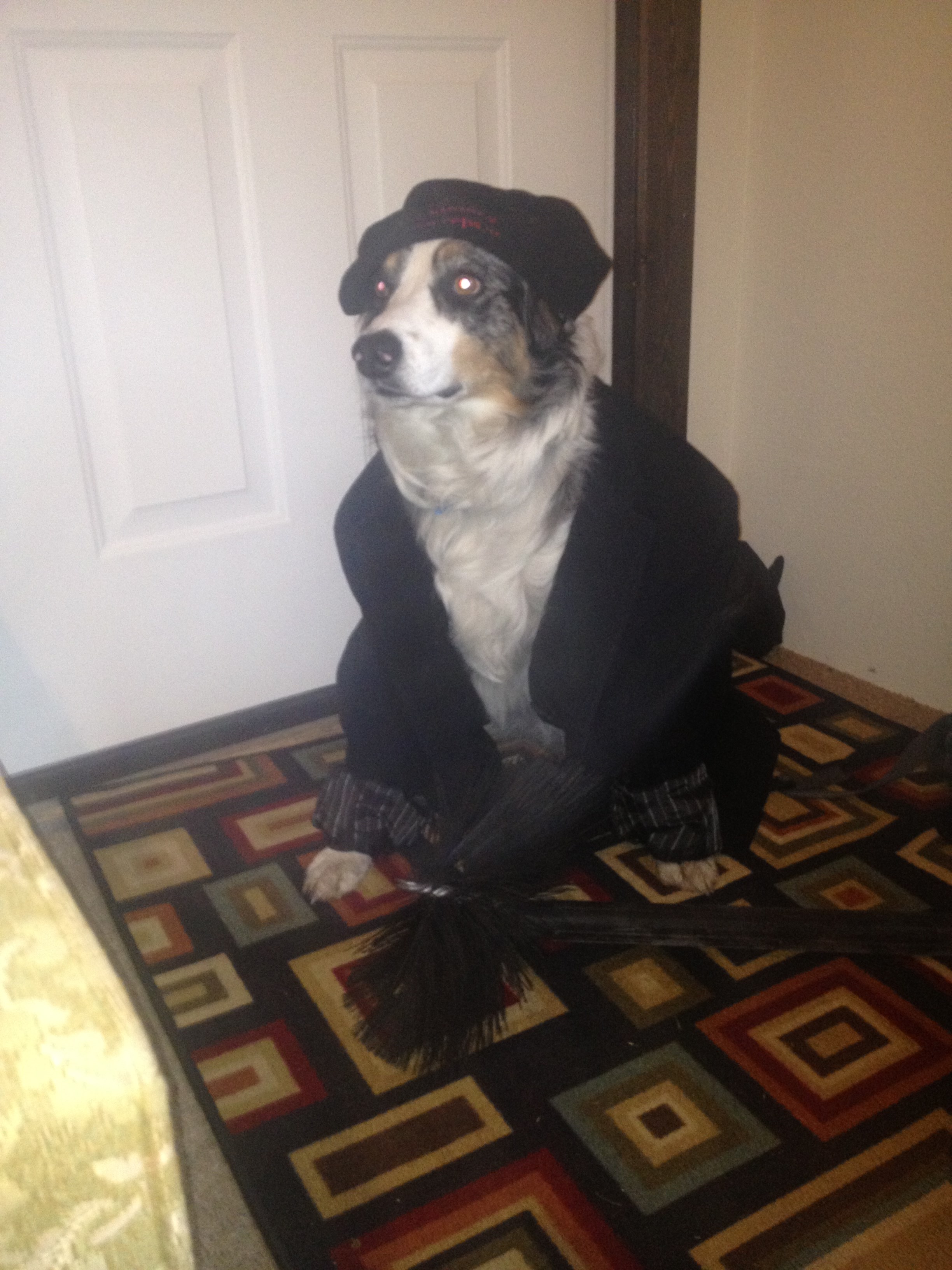 Avatar for Pro-Vac Chimney Sweeps LLC