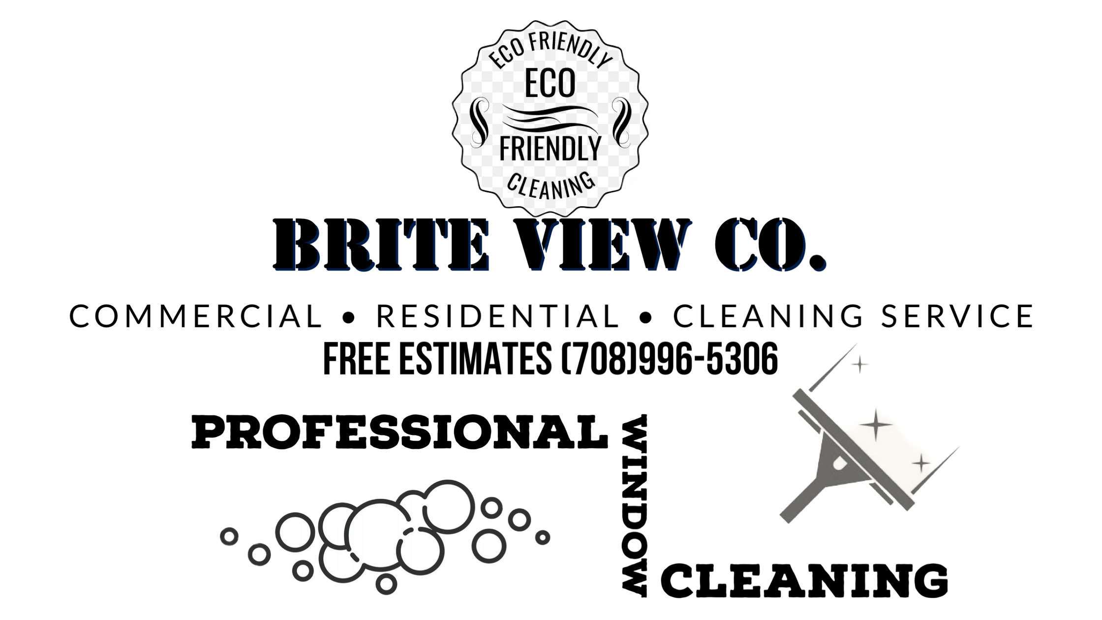 Avatar for Brite View Co.