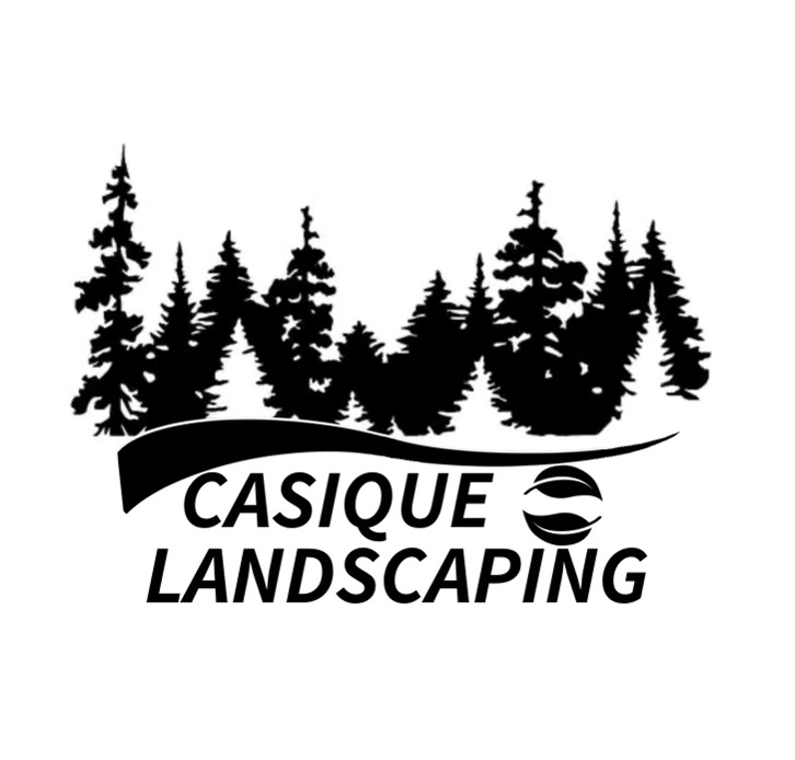 Avatar for Casique Landscaping LLC