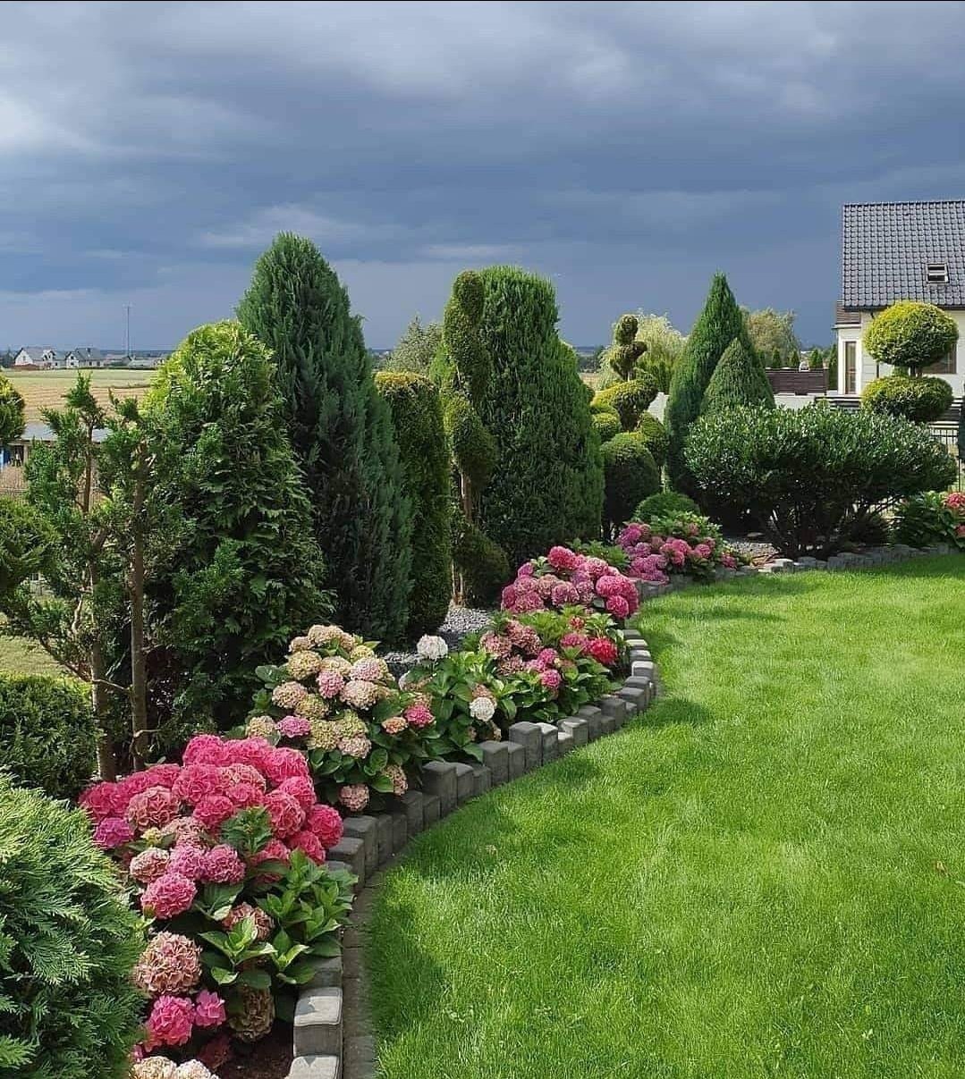 Avatar for  J&Z evolutions