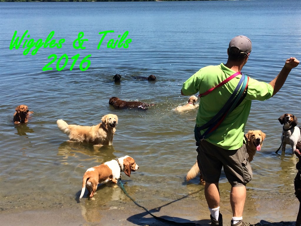 Calender Cover from the lake
