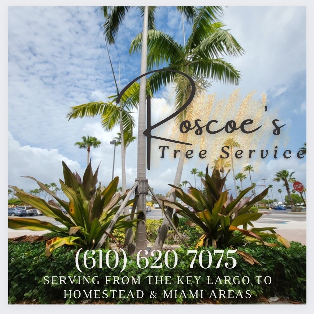 Avatar for Roscoes Tree Service