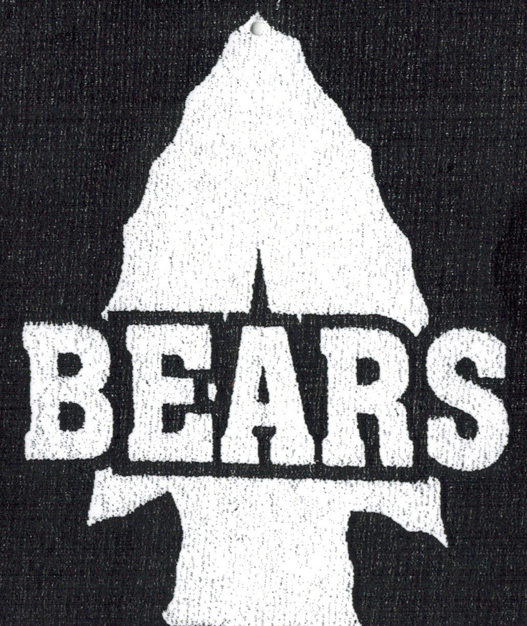 Bears Custom Home Improvements logo