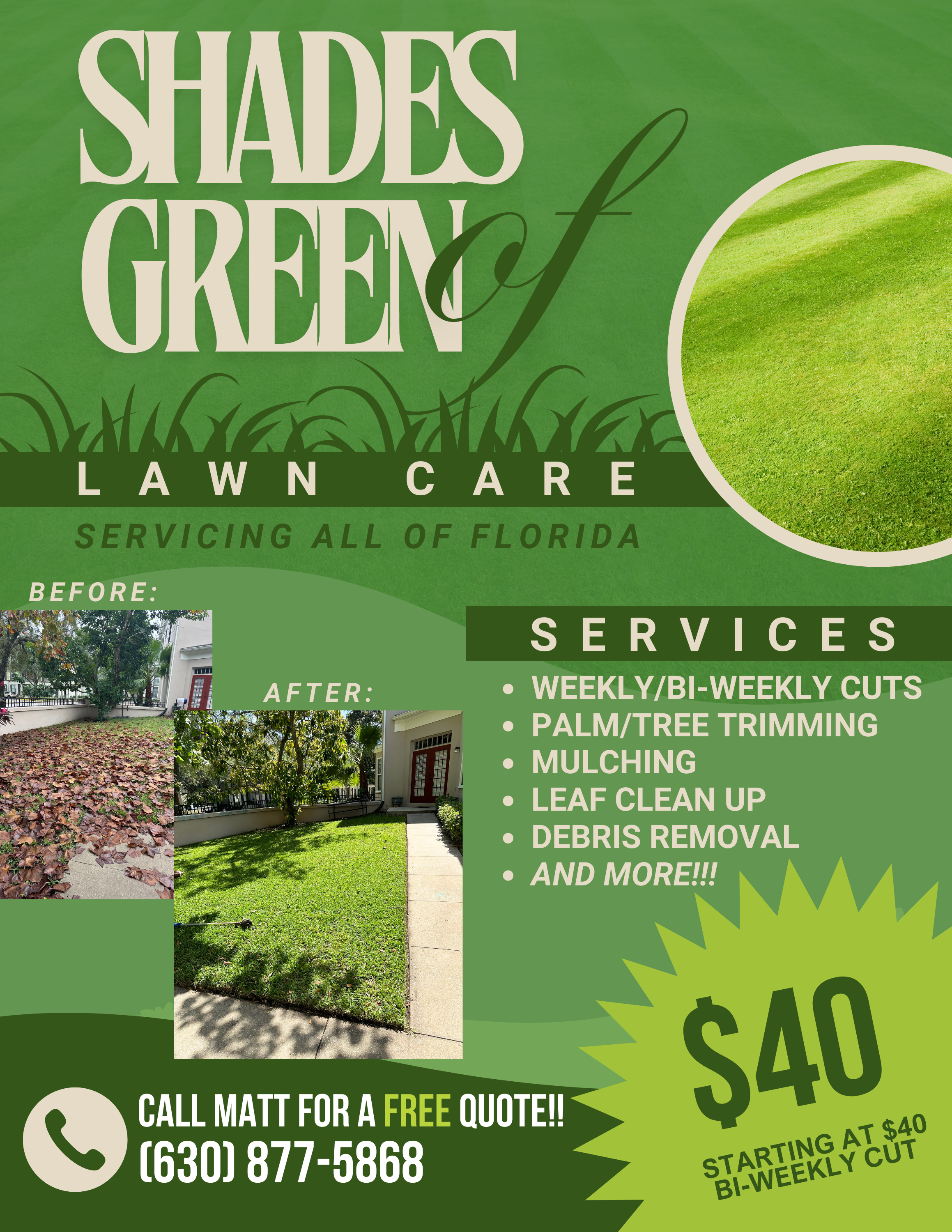 Avatar for Shades of Green