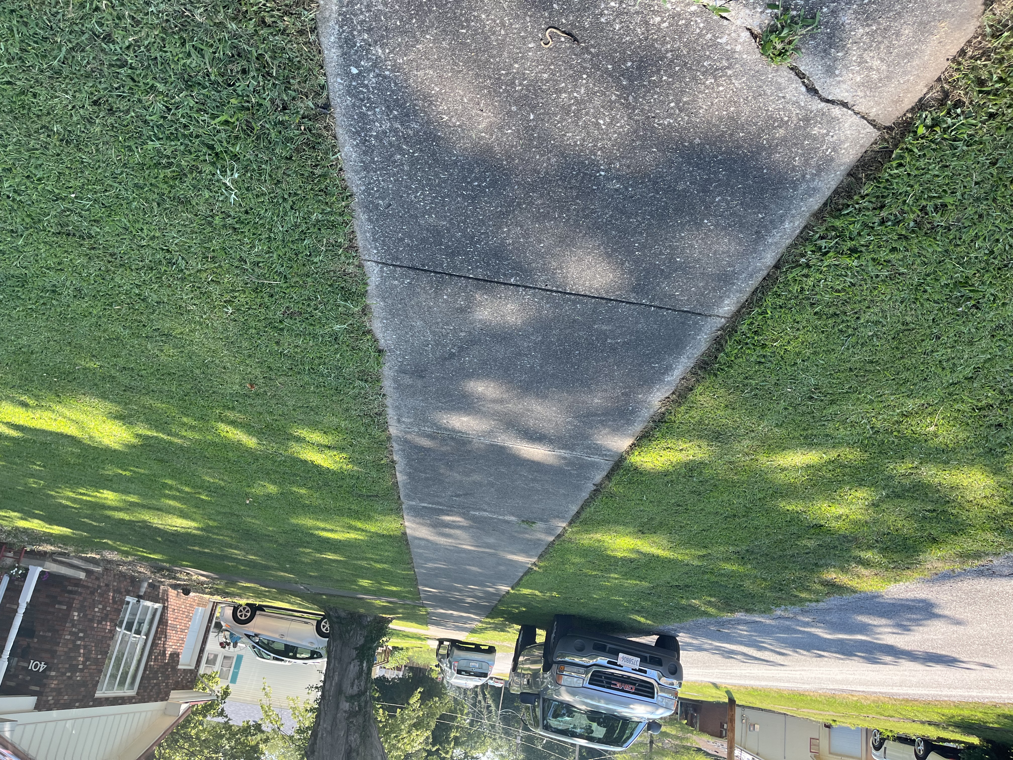 Avatar for Cut Lawn Care