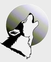 Lone Wolf Communications LLC logo