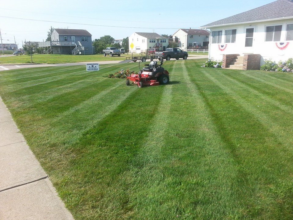 Avatar for Clean Cut Landscaping