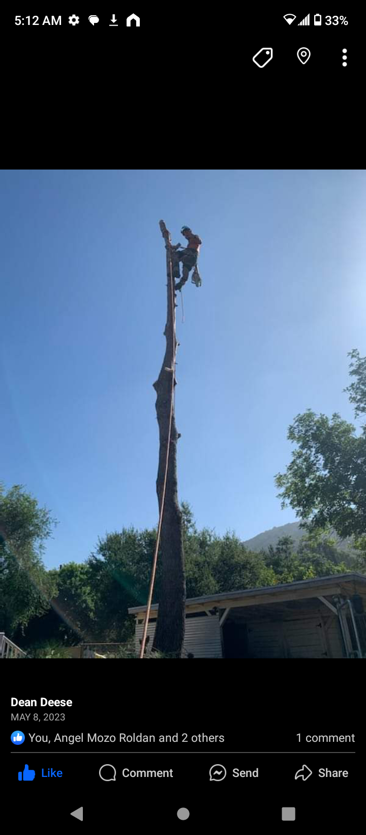 Avatar for DD Forest Products