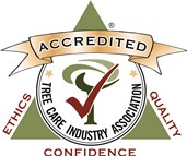 Avatar for The Arborist Inc