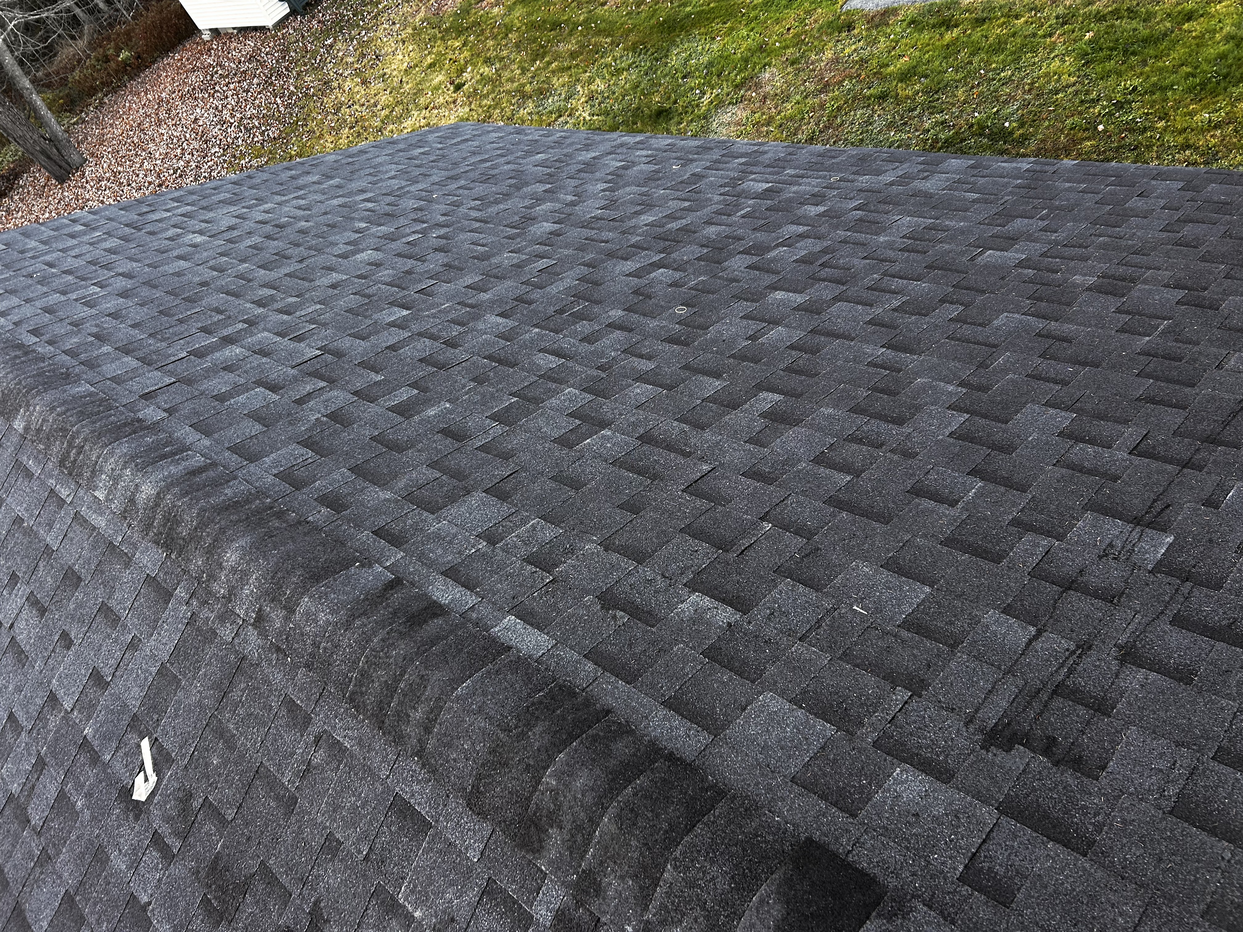 Avatar for NN services