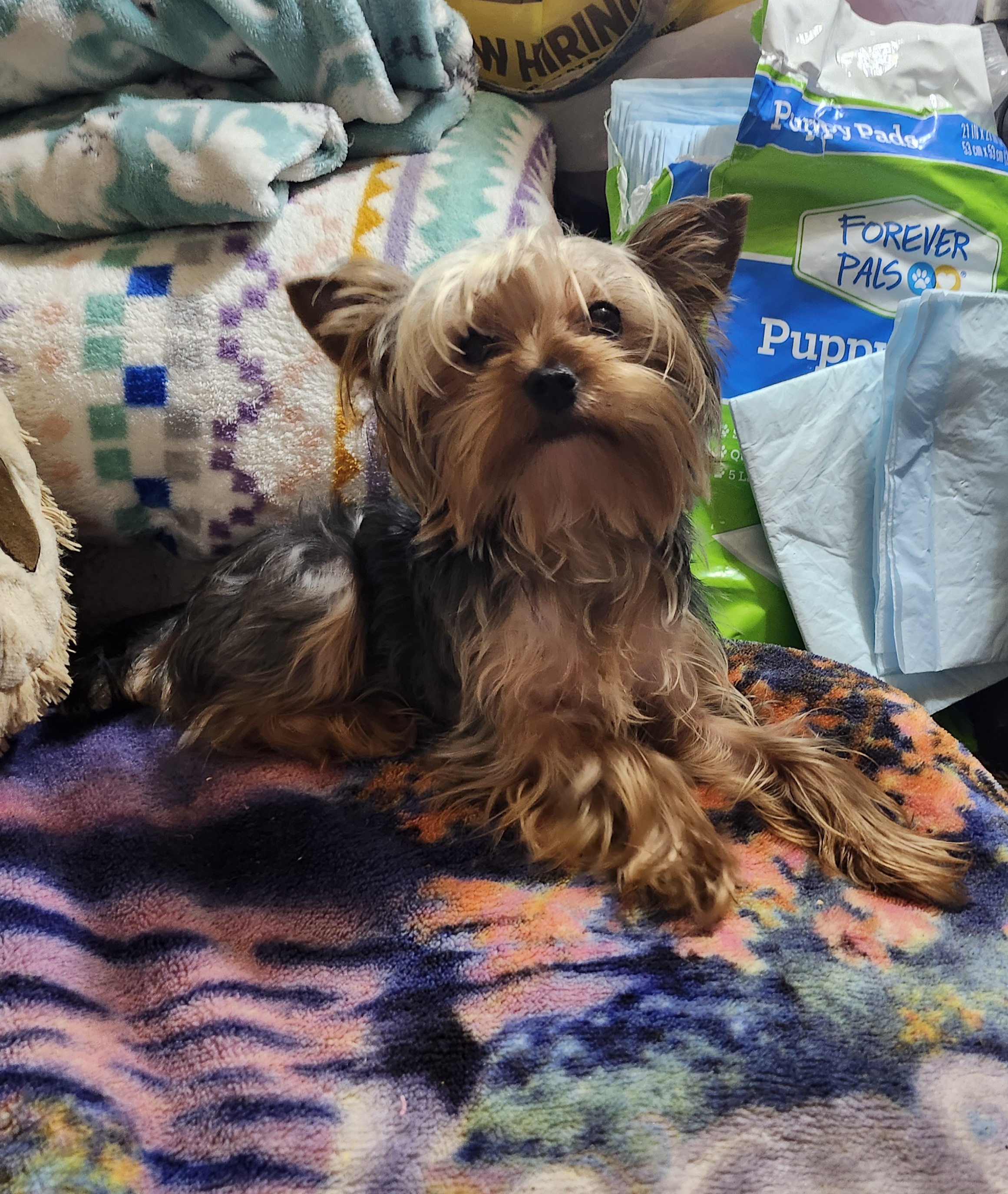 Avatar for Best buster ladies