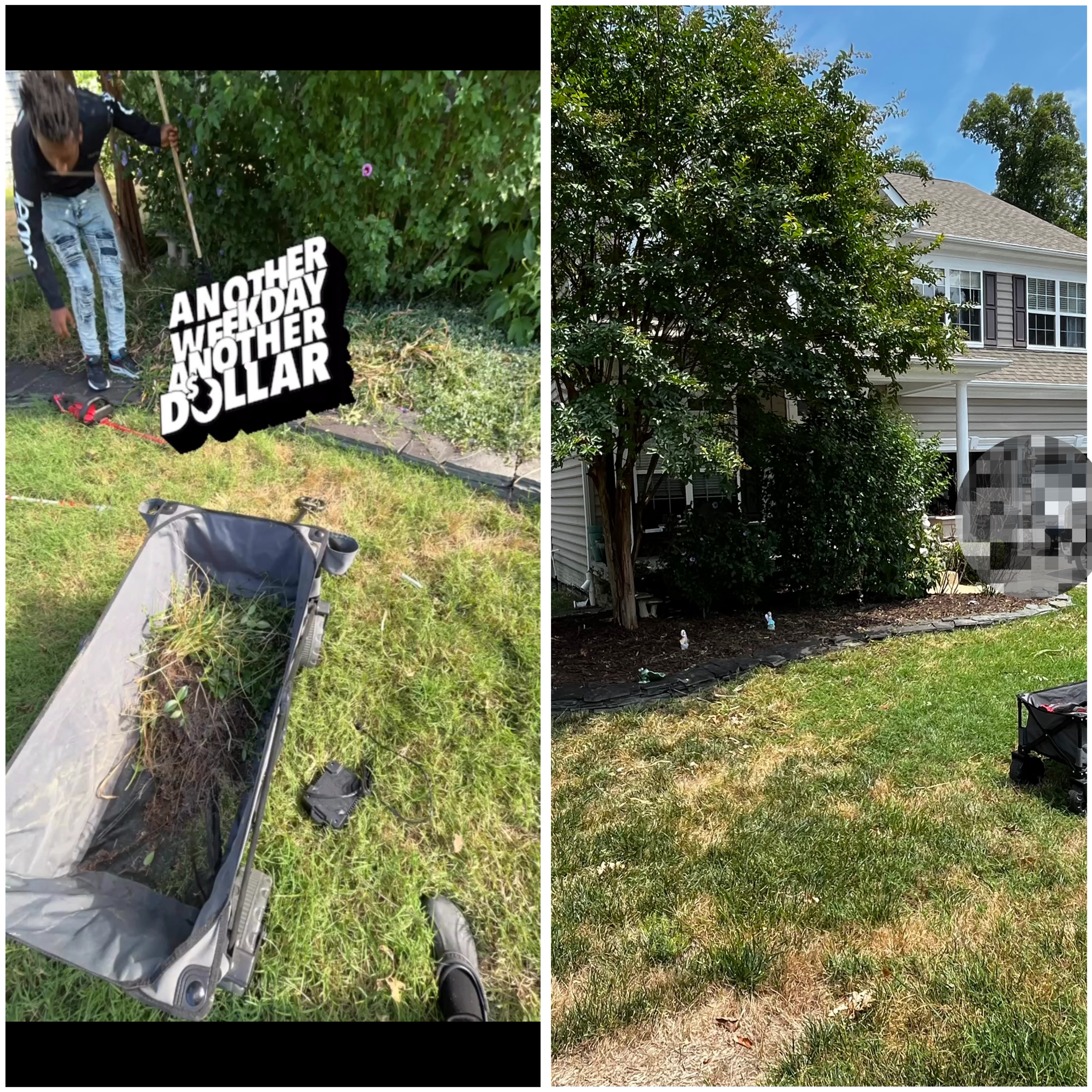 Avatar for Versatile landscaping