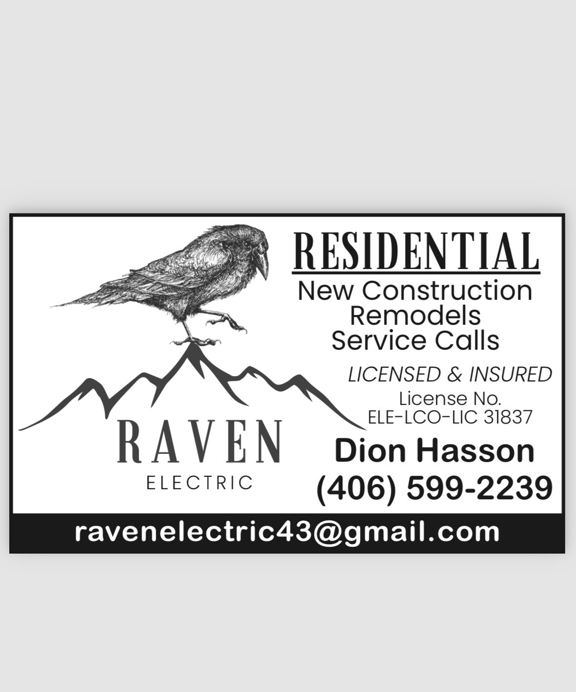 Avatar for Raven Electric