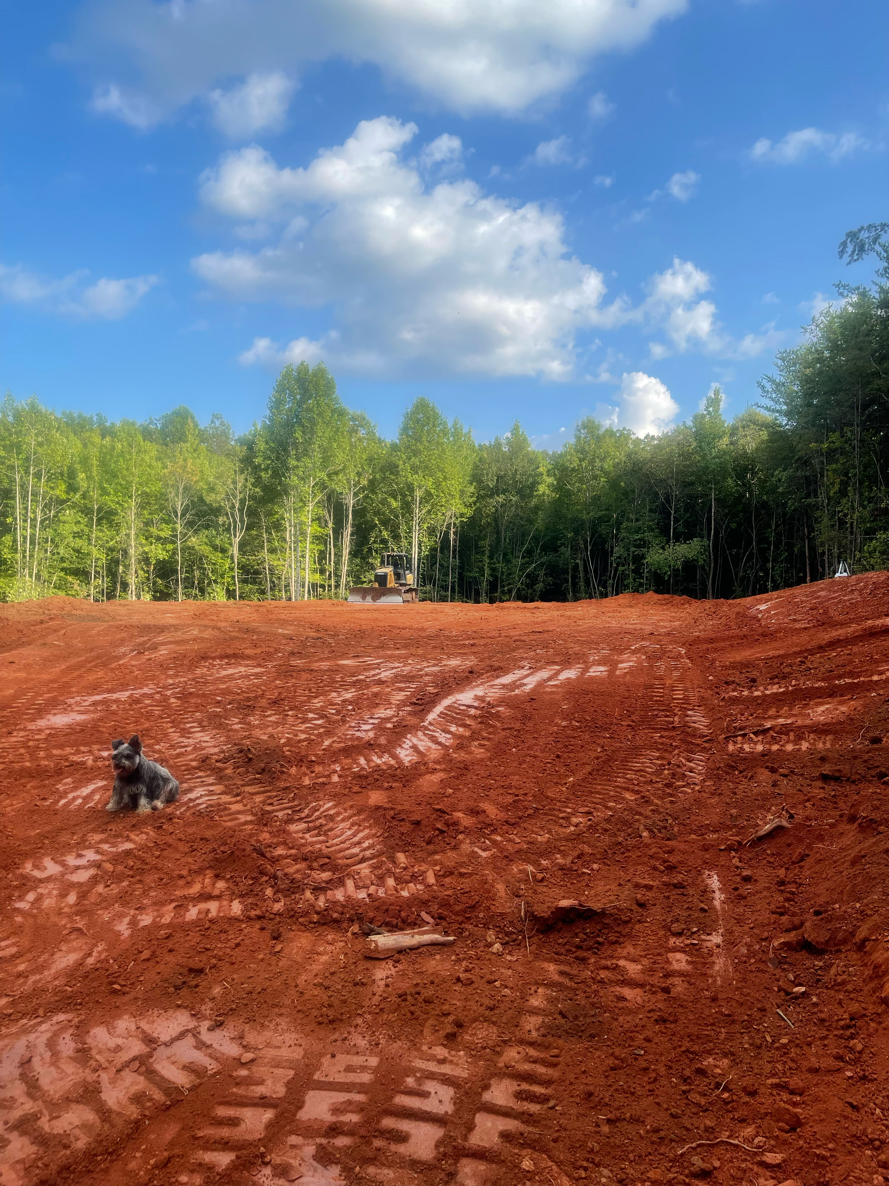 Logo for Dodd Grading