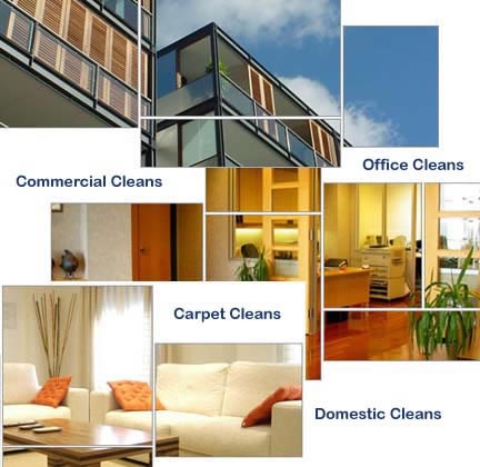 Clean Indeed Inc. logo