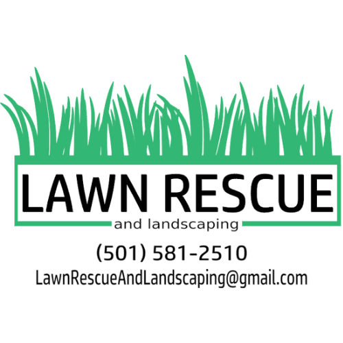 Avatar for Lawn rescue and landscaping 