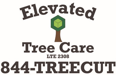 Elevated Tree Care logo