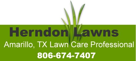 Avatar for Herndon Lawn Service- Amarillo Texas