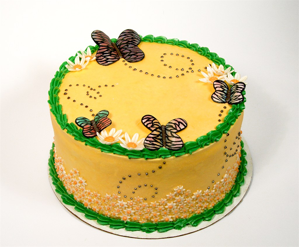 Butterfly Cake