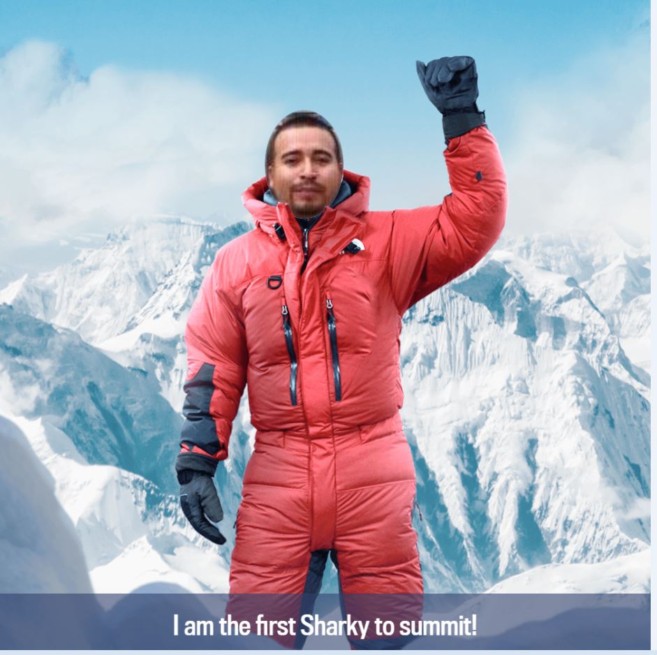 Avatar for Shark Gigs