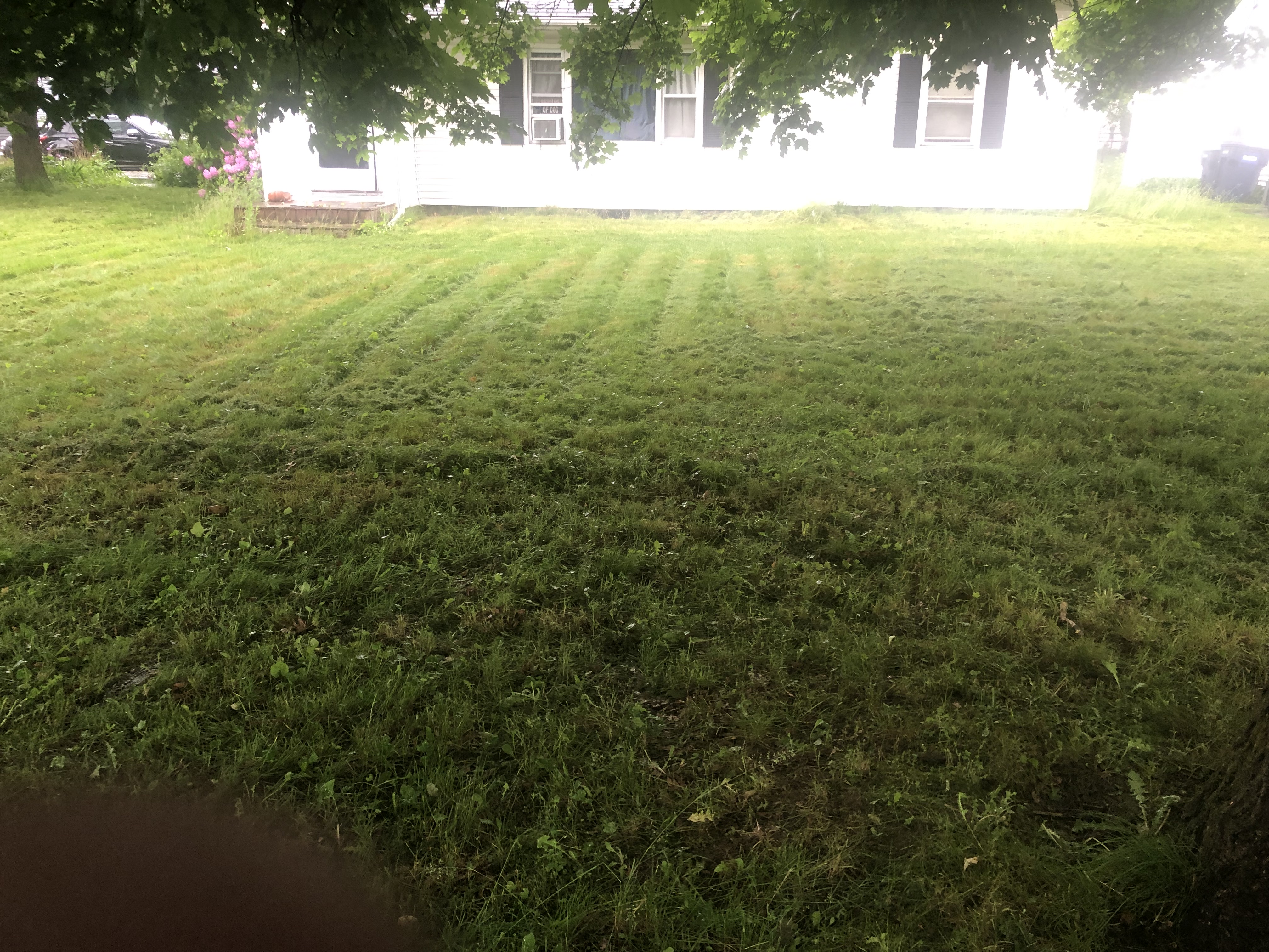 Avatar for Moore’s outdoor