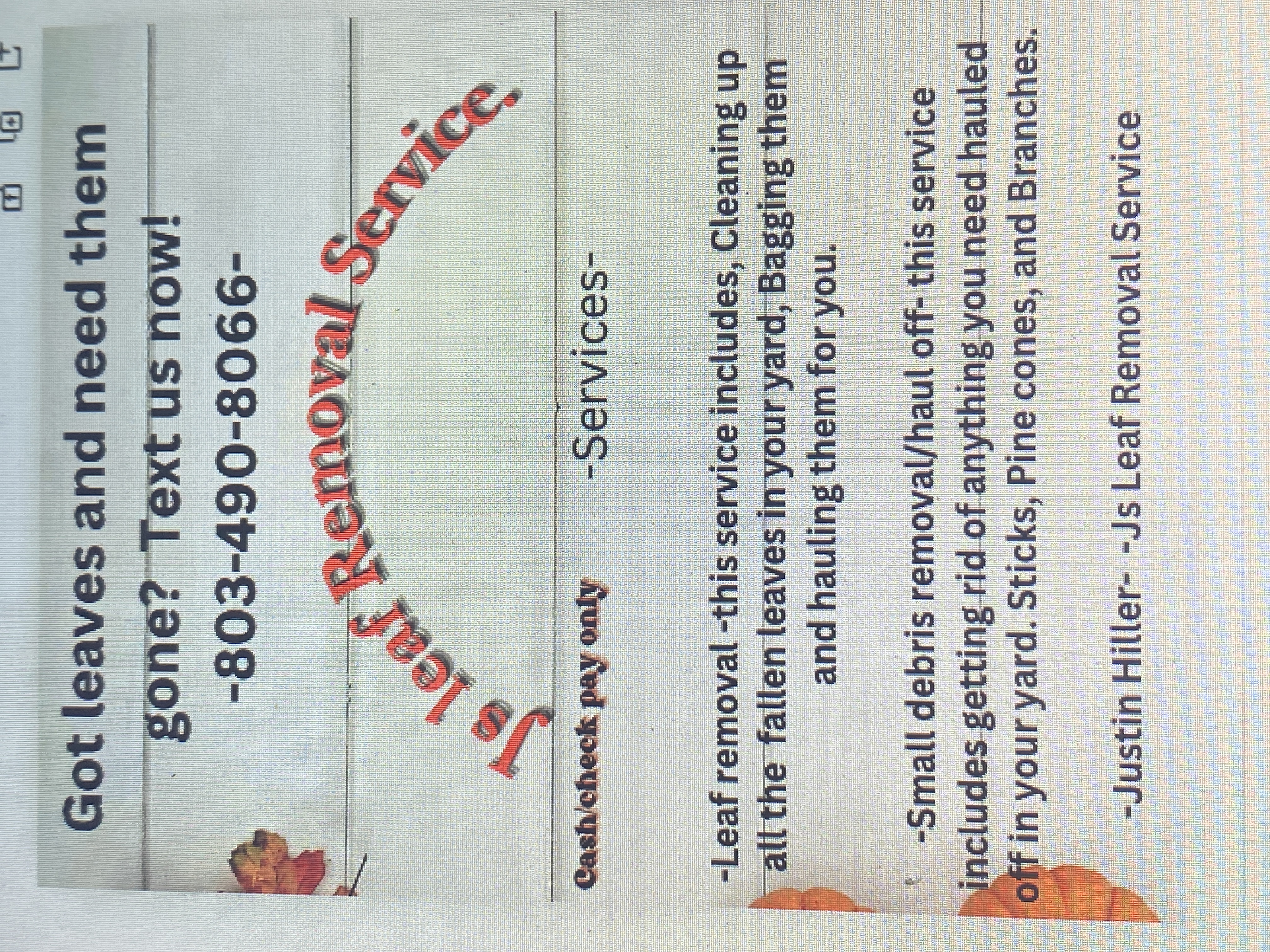 Avatar for Js Leaf removal Service.